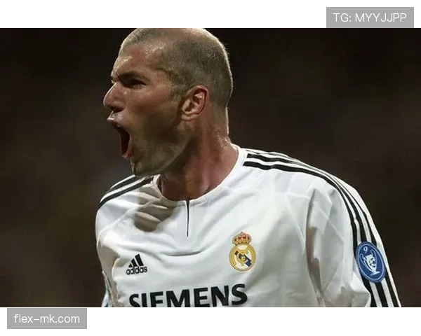 齐达内足球美学：艺术与战术的完美融合，诠释独特竞技魅力