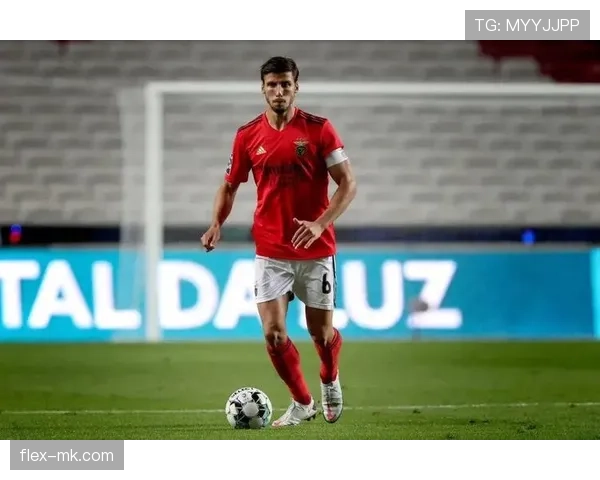 鲁本·迪亚斯：从本菲卡青训到葡萄牙主力中卫的崛起路径解析