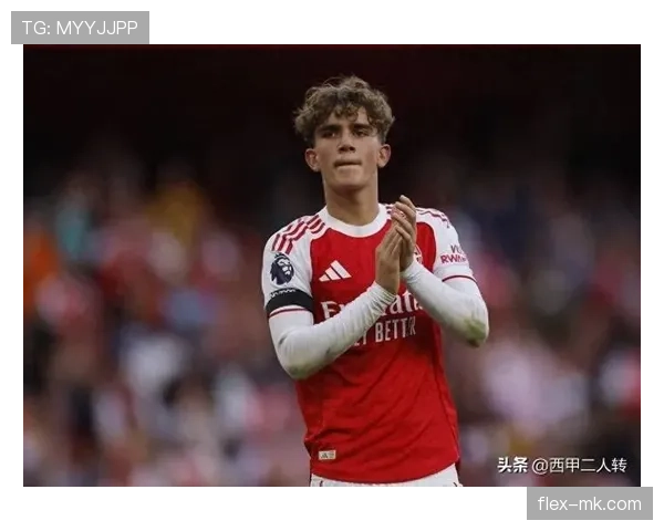 马丁内利处子赛季惊艳英超一战成名解析