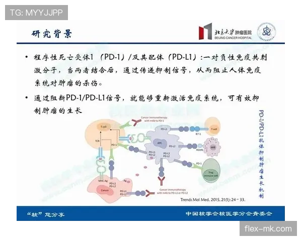 佛得角后防线竞争力评估